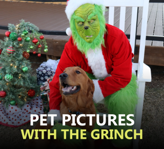 The Grinch posing for a photo with a Golden Retriever dog